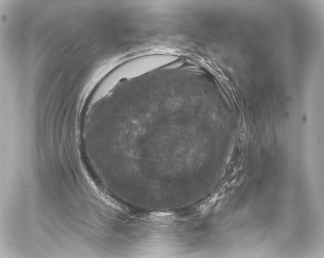 X0000057070055200510071443