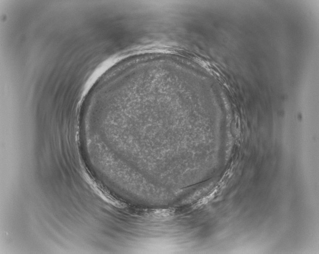 X0000057070056200510071443