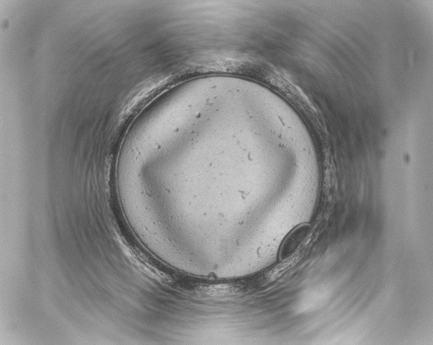 X0000057070058200510071443