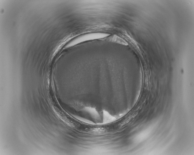 X0000057070059200510071443