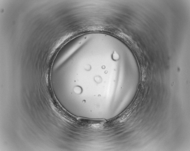 X0000057070060200510071443