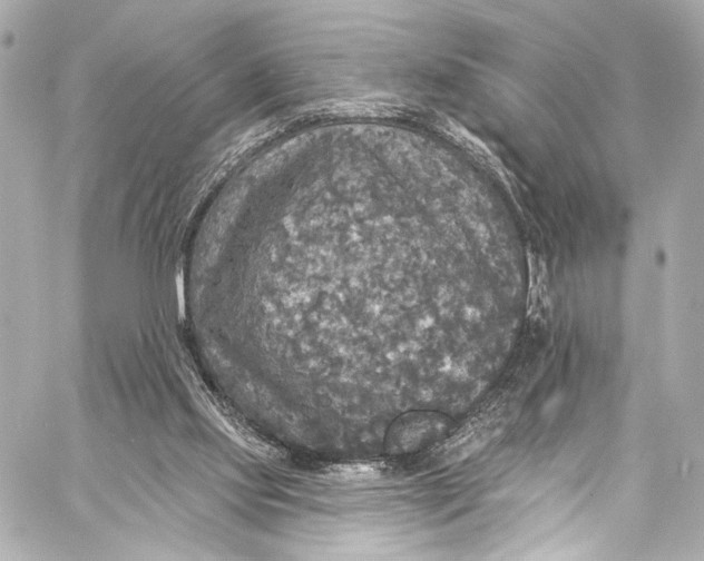 X0000057070061200510071443