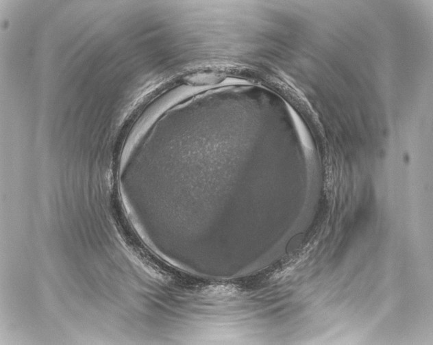 X0000057070063200510071443