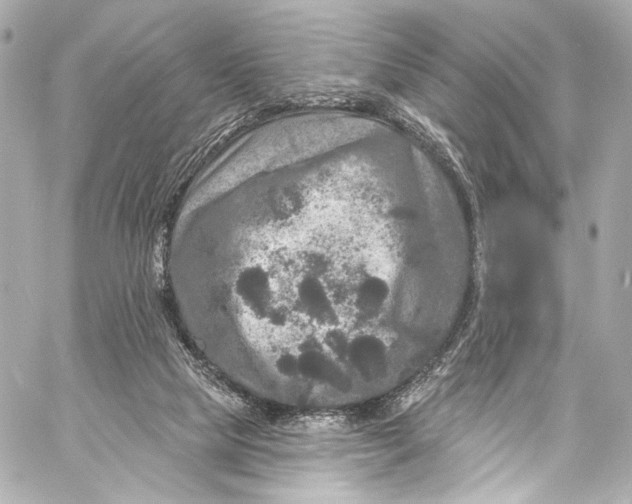 X0000057070065200510071443