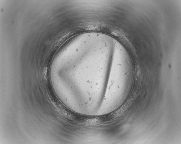 X0000057070066200510071443