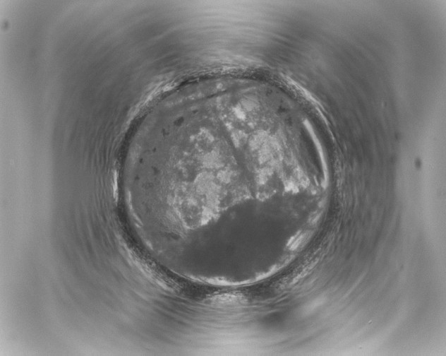 X0000057070067200510071443