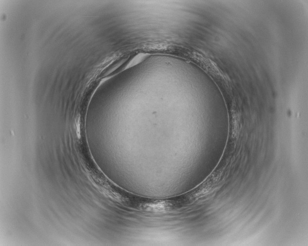 X0000057070068200510071443