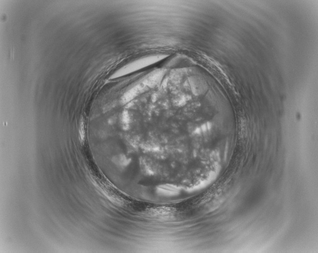 X0000057070069200510071443