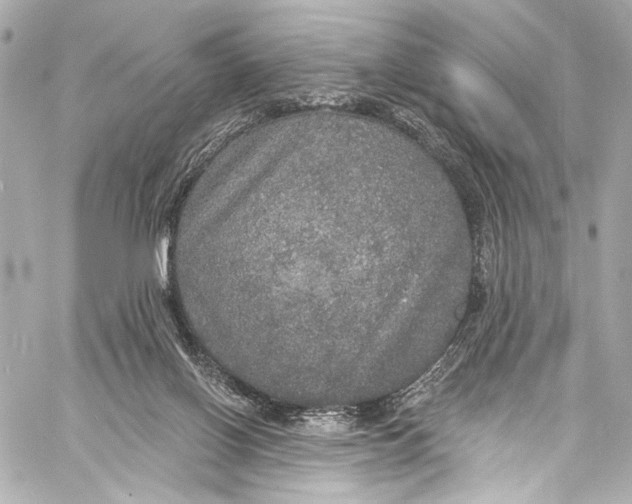 X0000057070070200510071443