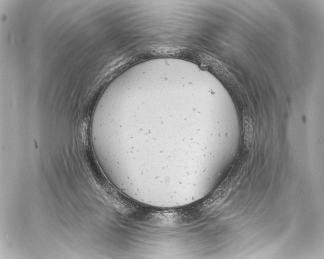 X0000057070071200510071443