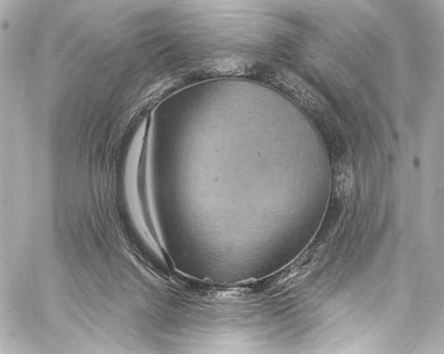 X0000057070072200510071443