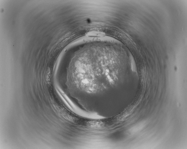 X0000057070073200510071443