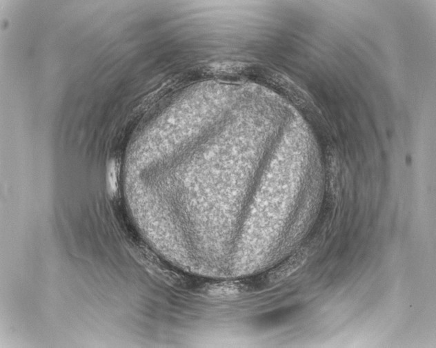 X0000057070075200510071443