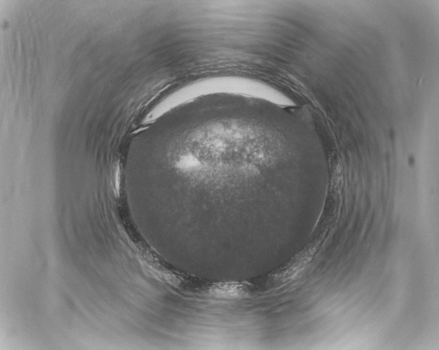 X0000057070076200510071443