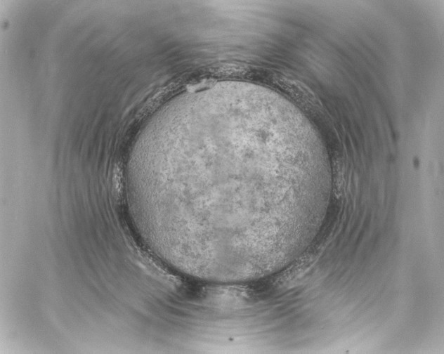 X0000057070077200510071443