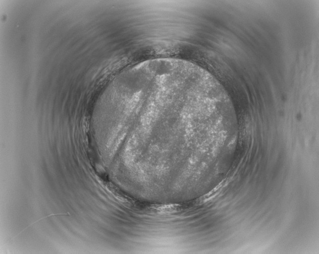 X0000057070078200510071443