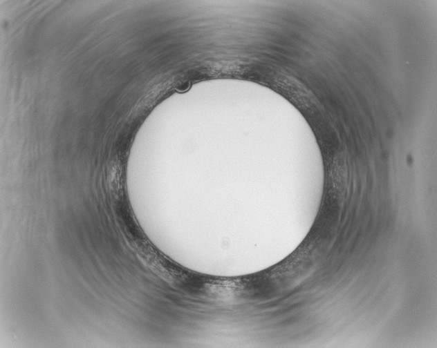 X0000057070079200510071443