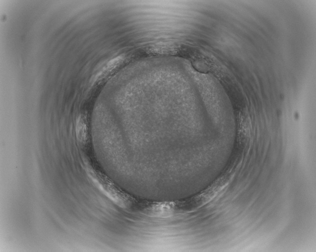 X0000057070080200510071443