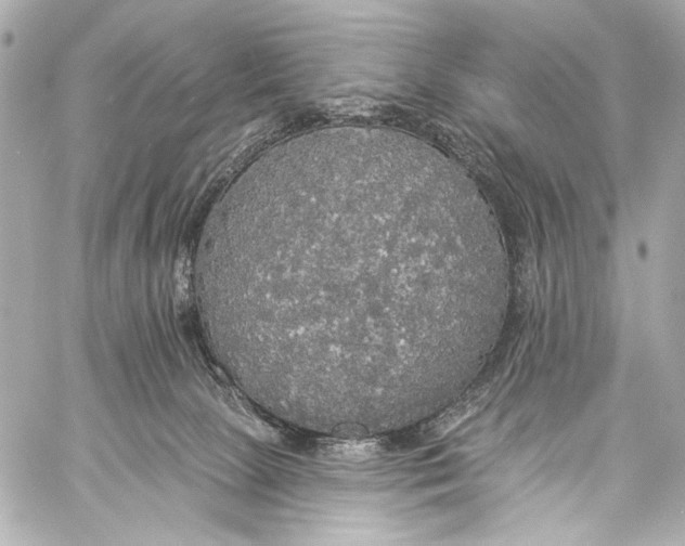 X0000057070081200510071443