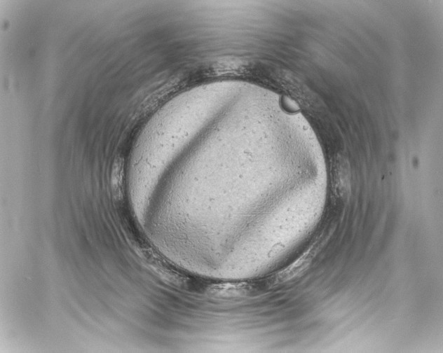 X0000057070082200510071443