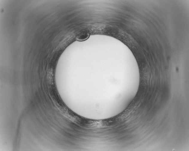 X0000057070083200510071444