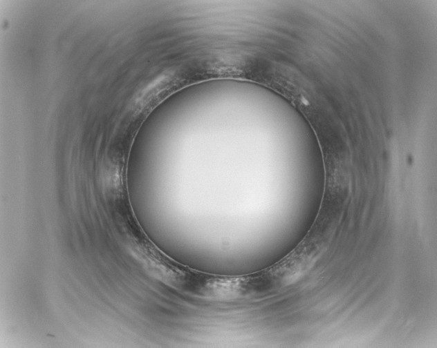 X0000057070084200510071444