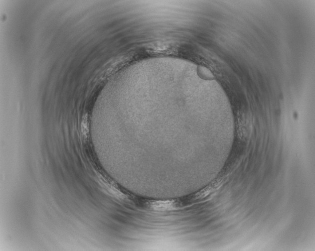 X0000057070085200510071444