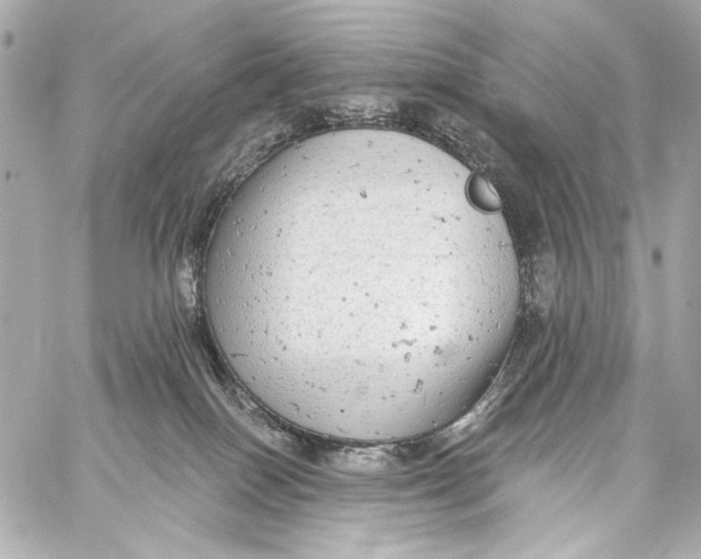 X0000057070086200510071444