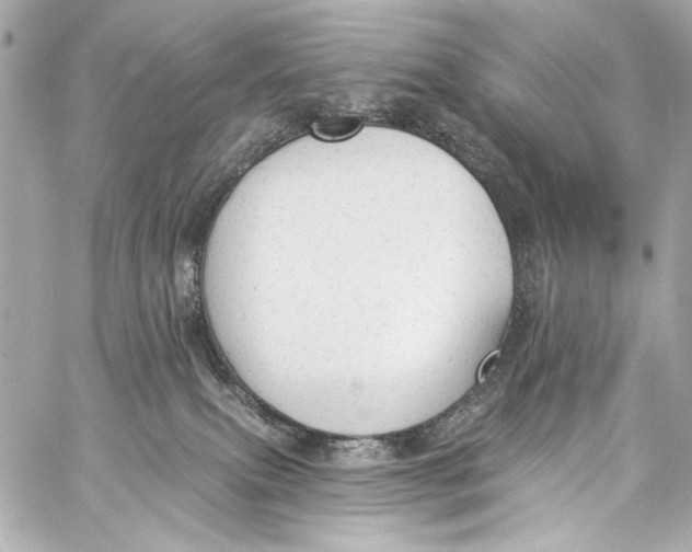 X0000057070087200510071444