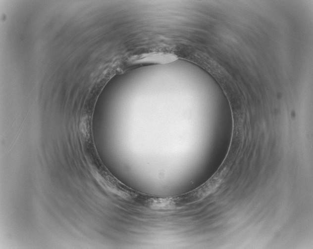 X0000057070088200510071444