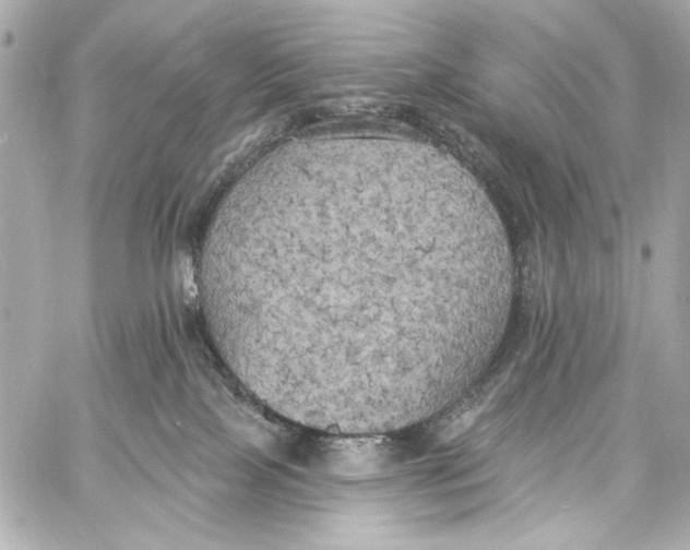 X0000057070089200510071444