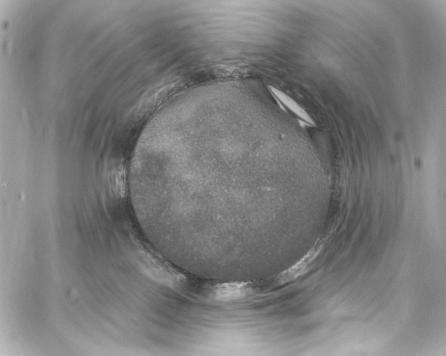 X0000057070090200510071444