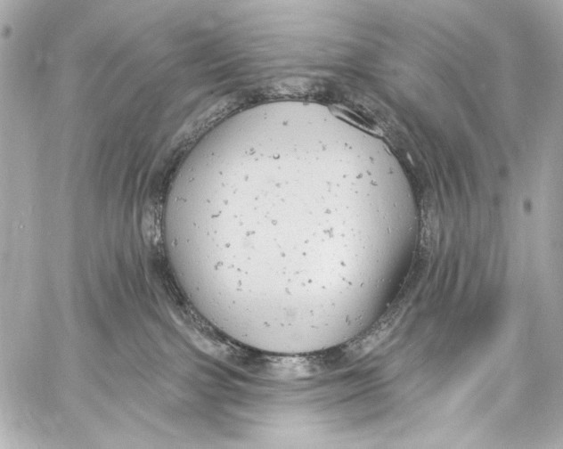 X0000057070091200510071444