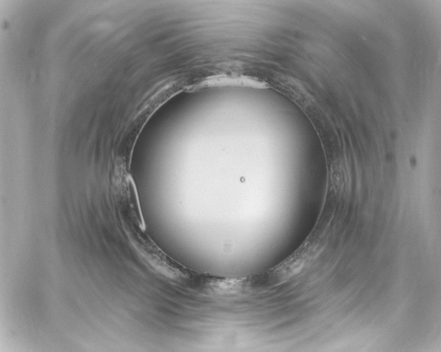 X0000057070092200510071444