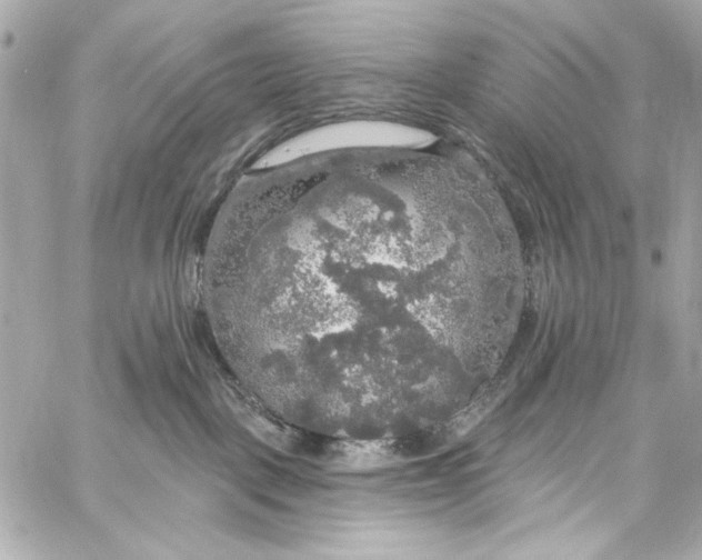 X0000057070093200510071444