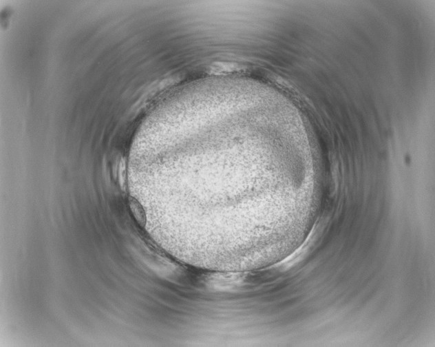 X0000057070094200510071444