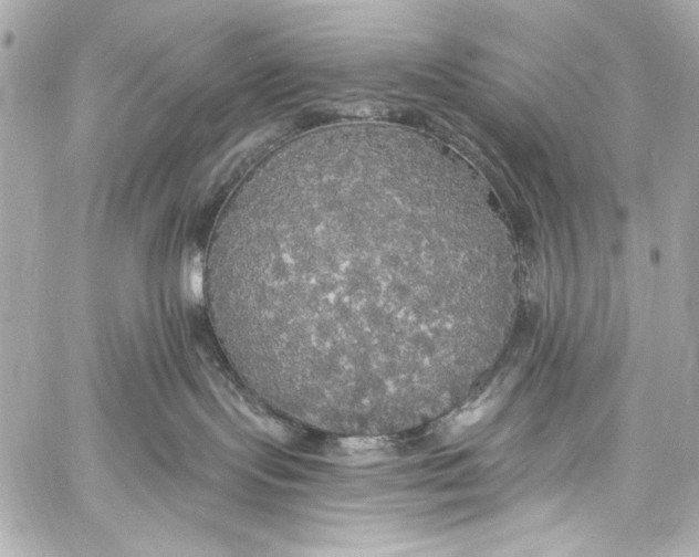 X0000057070095200510071444