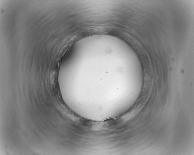 X0000057070096200510071444