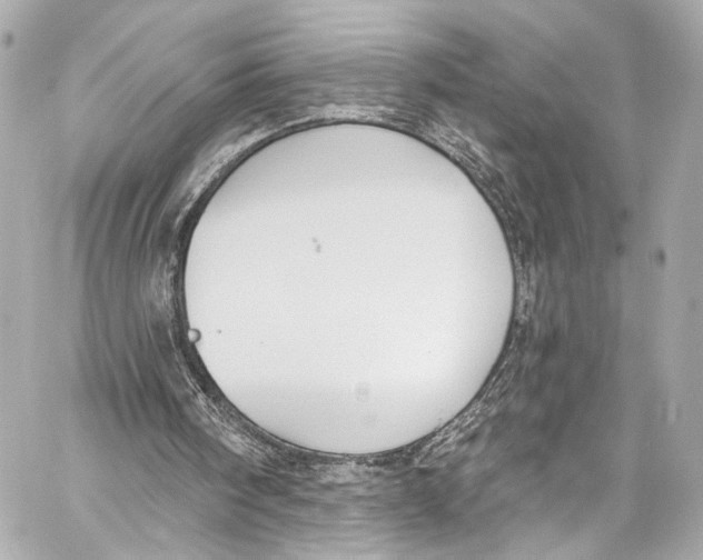 X0000057070098200510071443