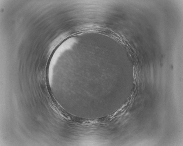 X0000057070099200510071443