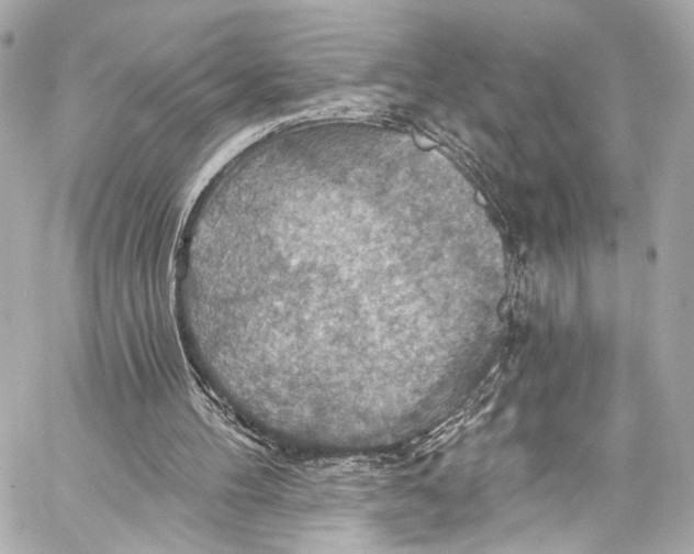 X0000057070100200510071443