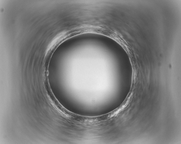 X0000057070101200510071443