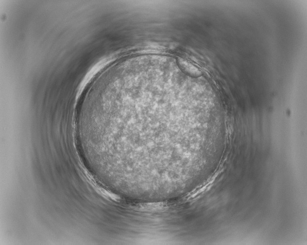 X0000057070102200510071443