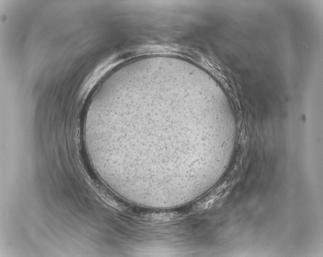 X0000057070103200510071443