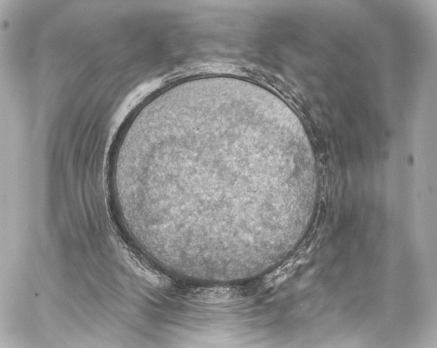 X0000057070104200510071443