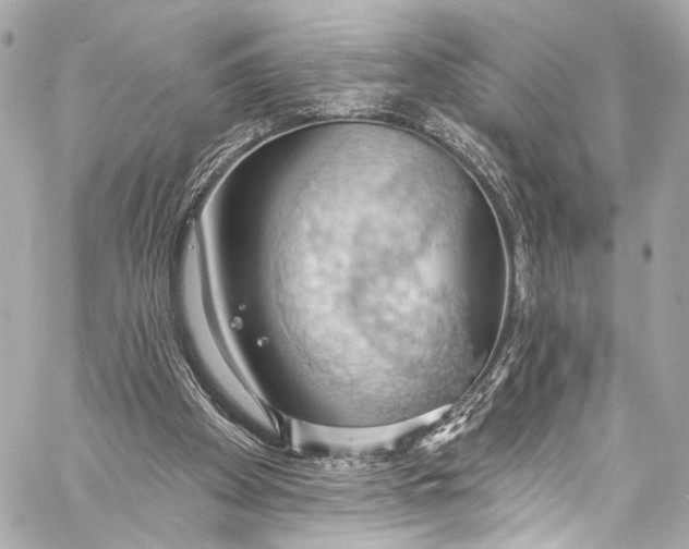 X0000057070105200510071443