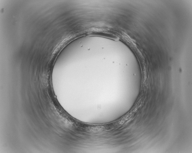 X0000057070106200510071443