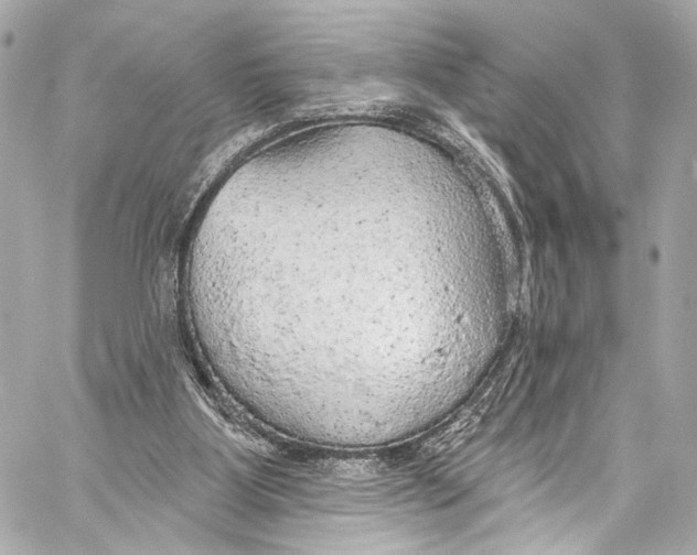 X0000057070107200510071443