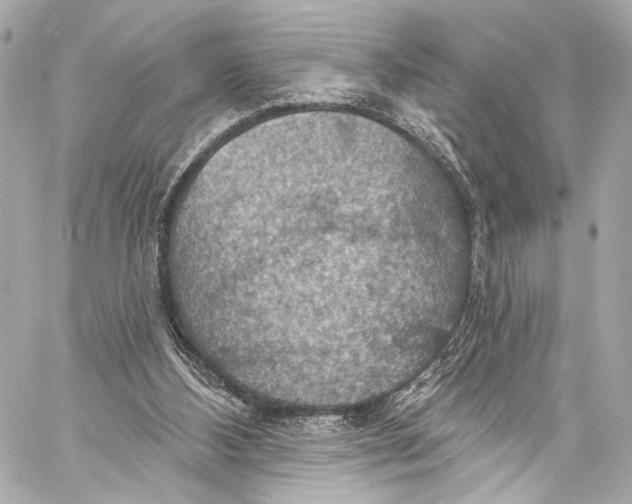 X0000057070108200510071443