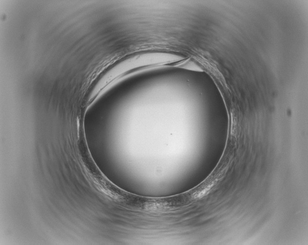 X0000057070109200510071443